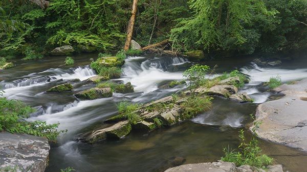 Jonathan Welch Media Arts