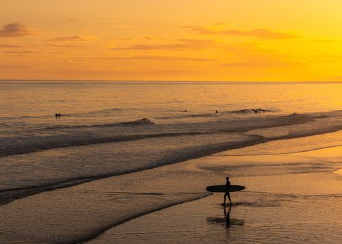 A Lone Surfer on Folly Beach South Carolina at Sunset