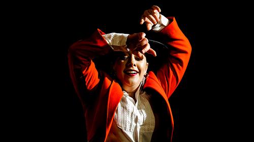 Danseuse de Flamenco en Andalousie