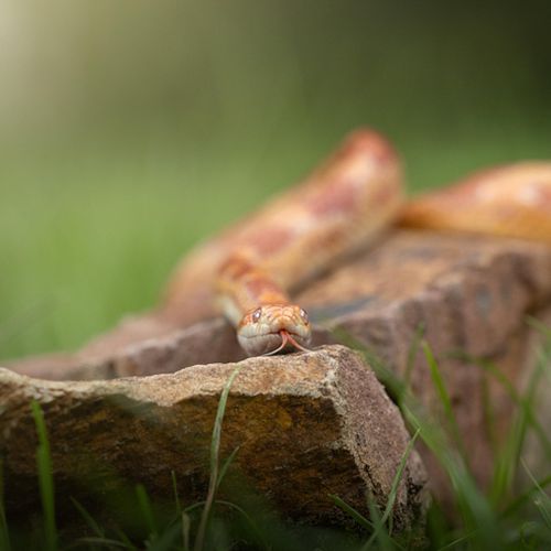 Wat neem je mee?