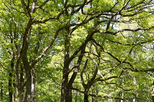 Im Nationalpark Jomfruland