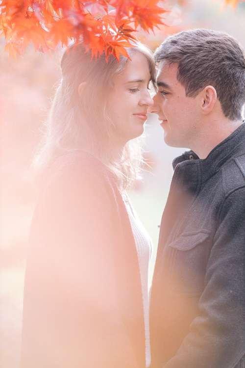 Pre-Wedding Portraits at Nooroo Garden