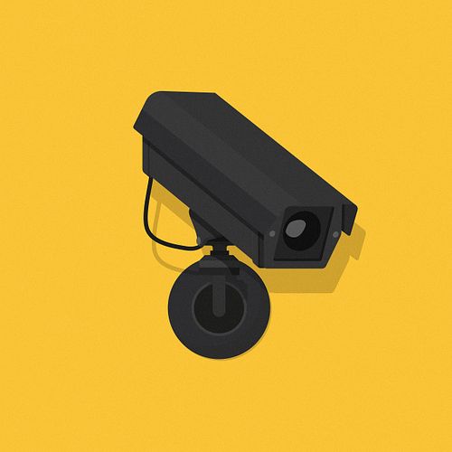 The Camera