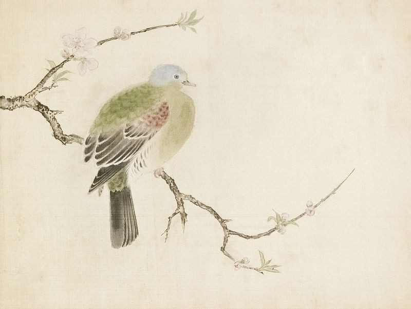 East Meets West: Bridging the Gap Between European Skepticism and Asian Trust in TCM