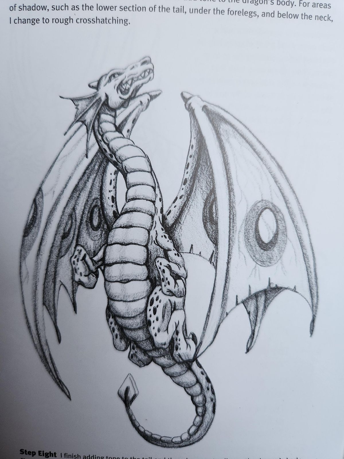 Reference Image - Dragon