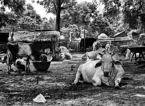 Mingun | Birmania | 2004