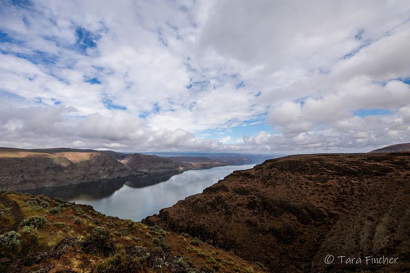 Alaska | Royal Caribbean Quantum of the Seas