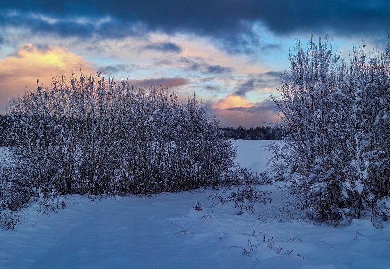 Talvise õhtu maaliline taevas.