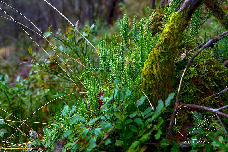 Er ute på oppdrag mellom kl 10:00 og 12:00