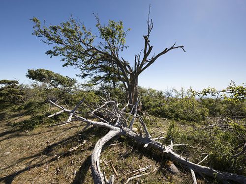 Jomfruland National Park