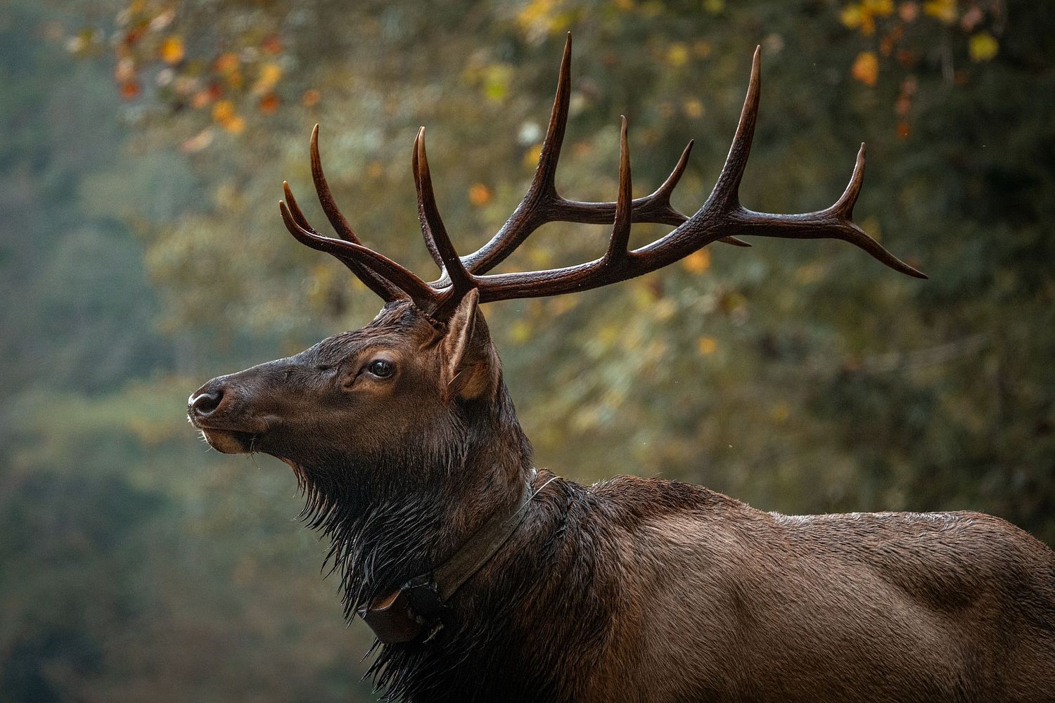 John Mauser Photography