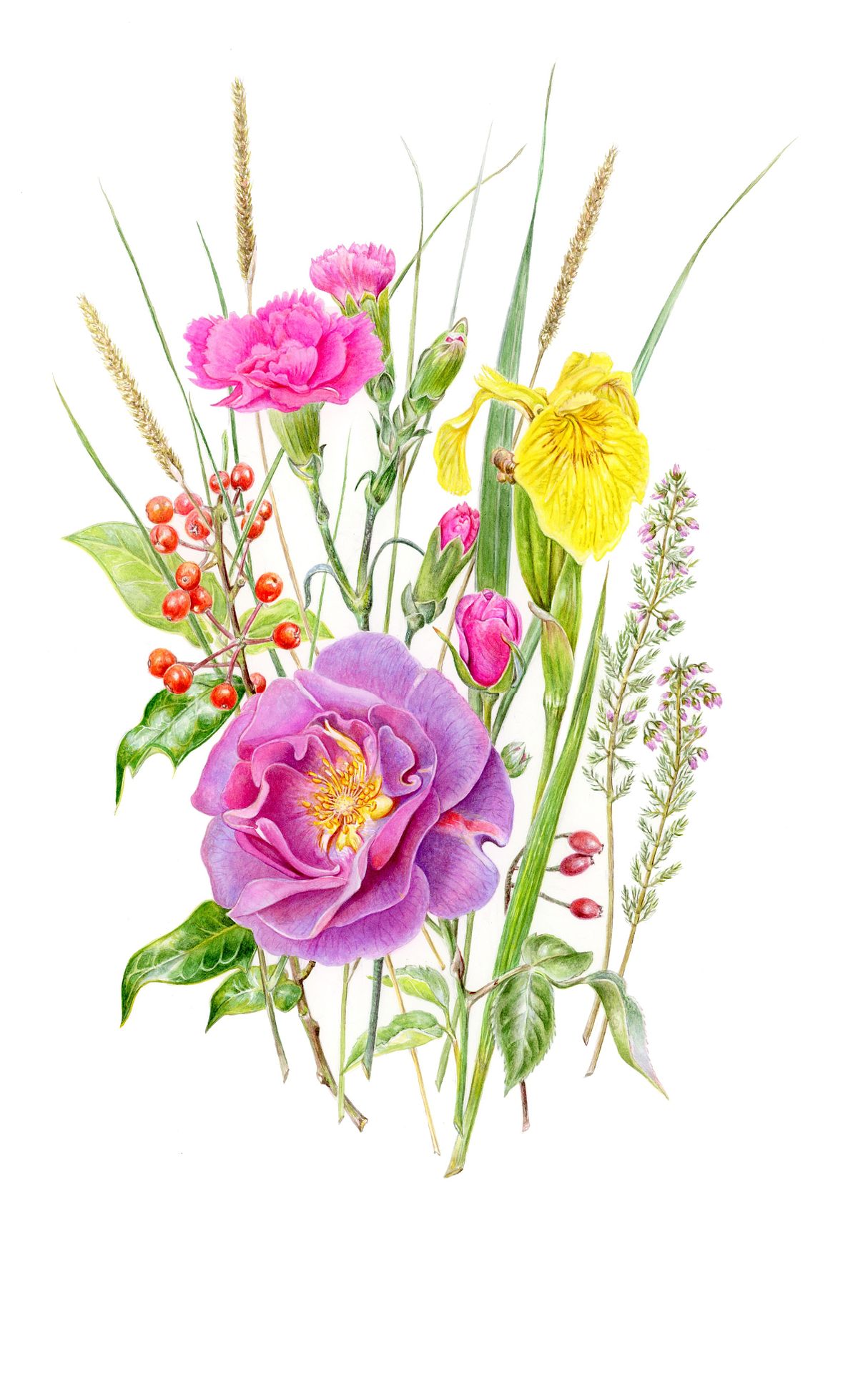 Botanical Art and Illustration of Mixed Composition