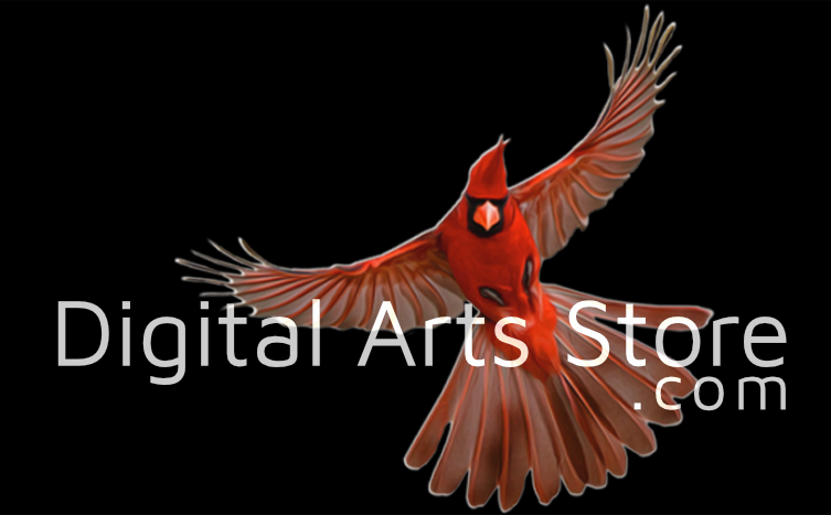 Digital Arts Store