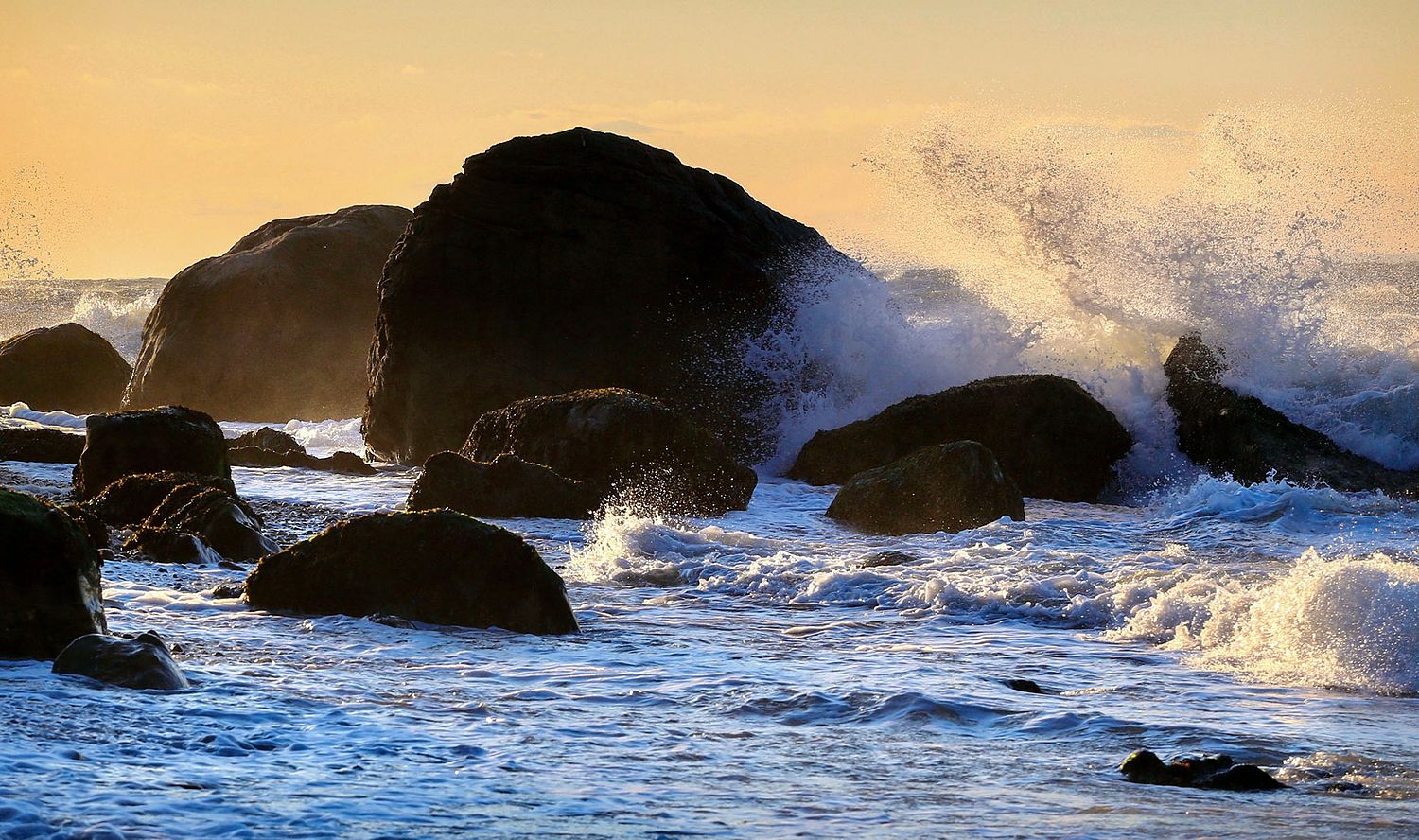 ALISON PERRY PHOTOGRAPHY