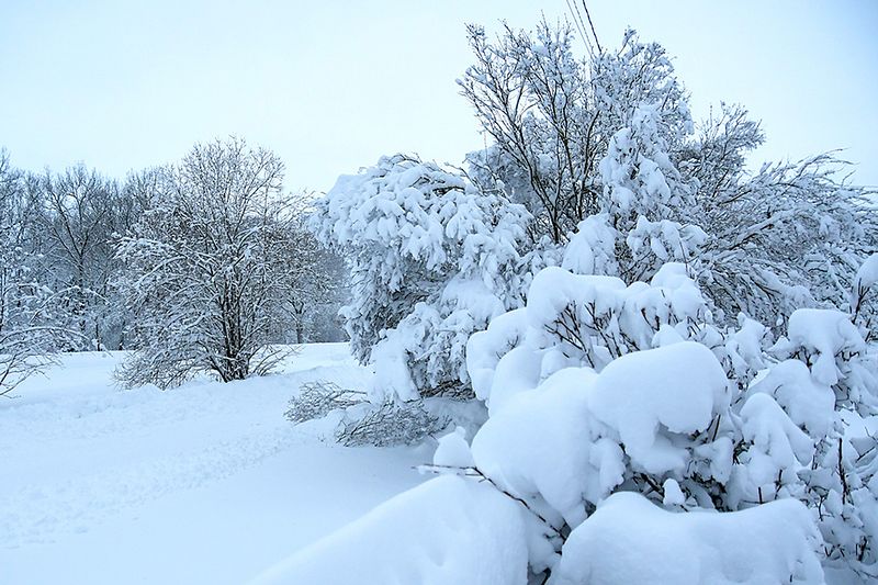 Ongi kätte jõudnud lumetusune ja tiheda lumesajuga nädalavahetus.