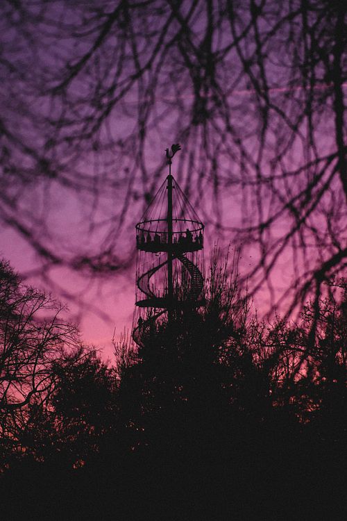 killesberg, stuttgart poster, killesbergturm, killesbergpark, killesberg poster, stuttgart wandbild