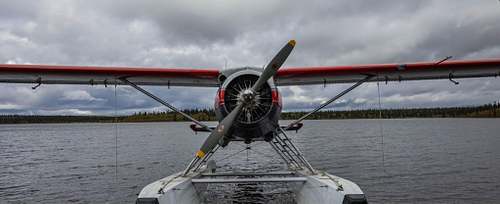 Daily Fly Outs