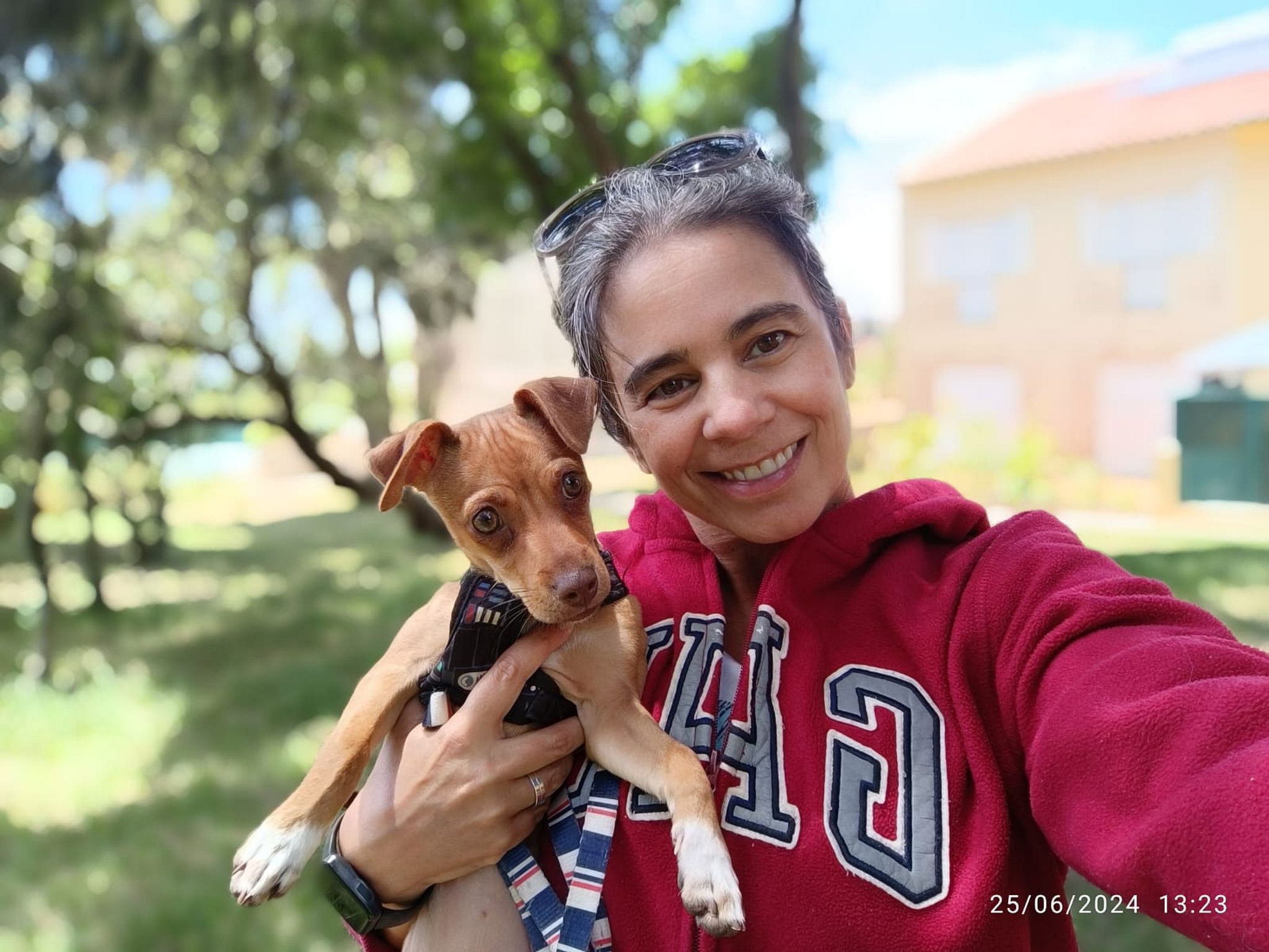 Consultora de Comportamento e Vínculo Canino