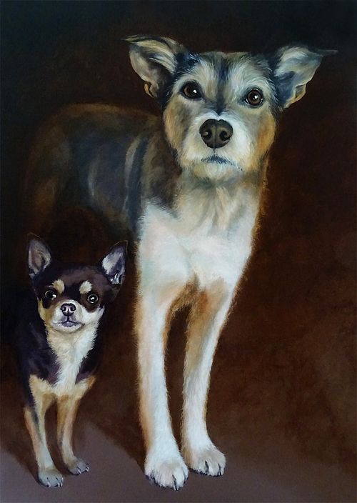 Double dog portrait of a Boerenfox and Chihuahua with expressive eyes