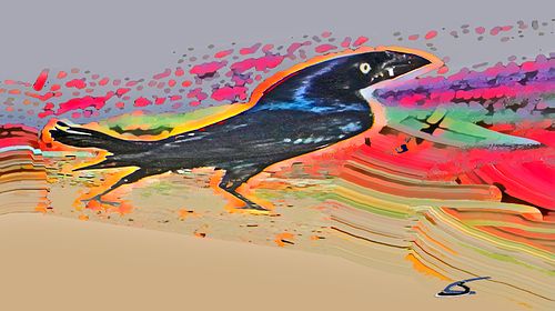 crow bird abstract