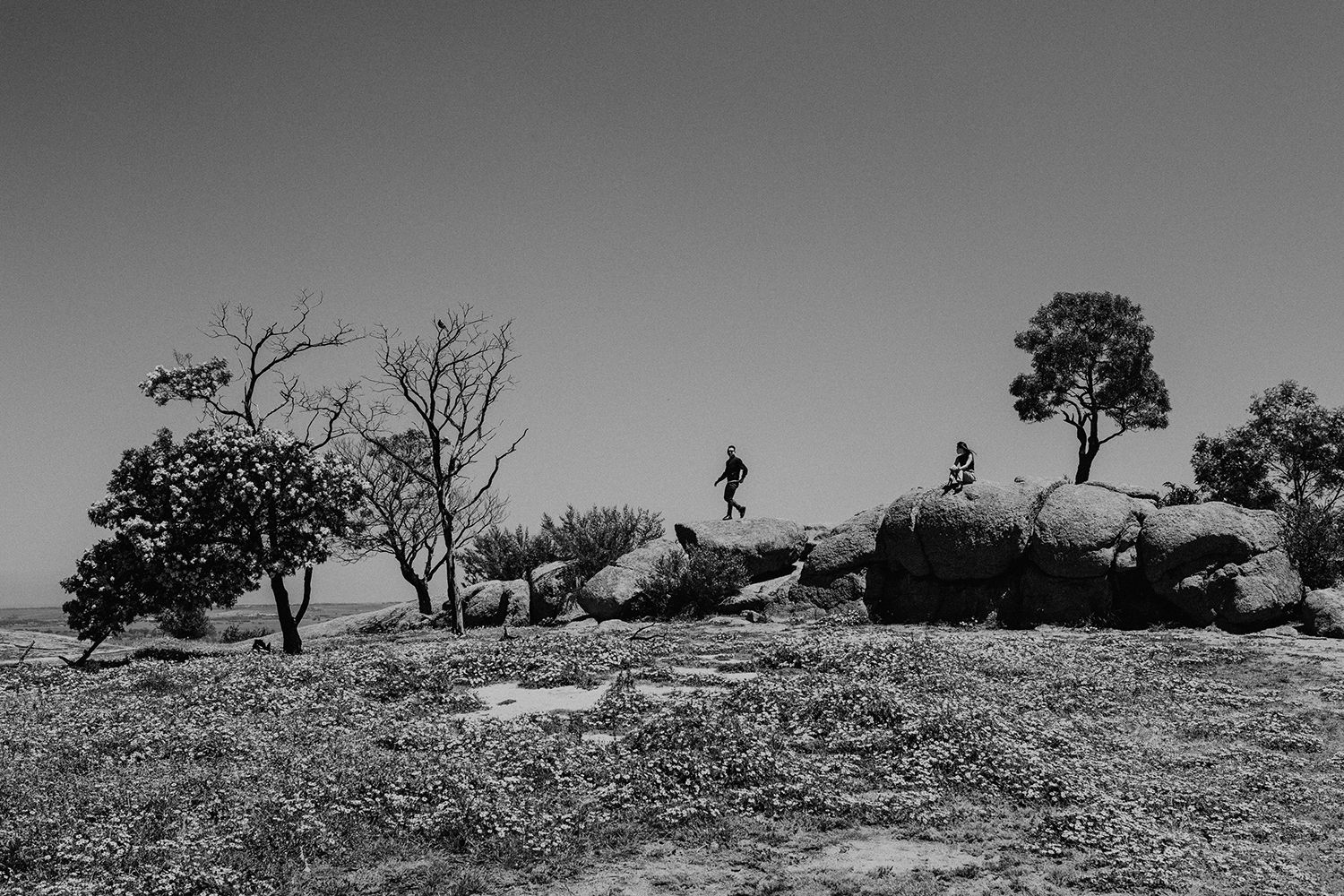 Funkydali Photography