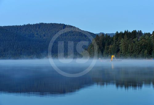 Titisee im Morgennebel