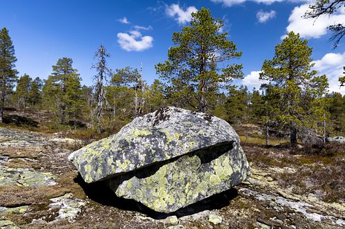 Naturwaldreservat Trillemarka