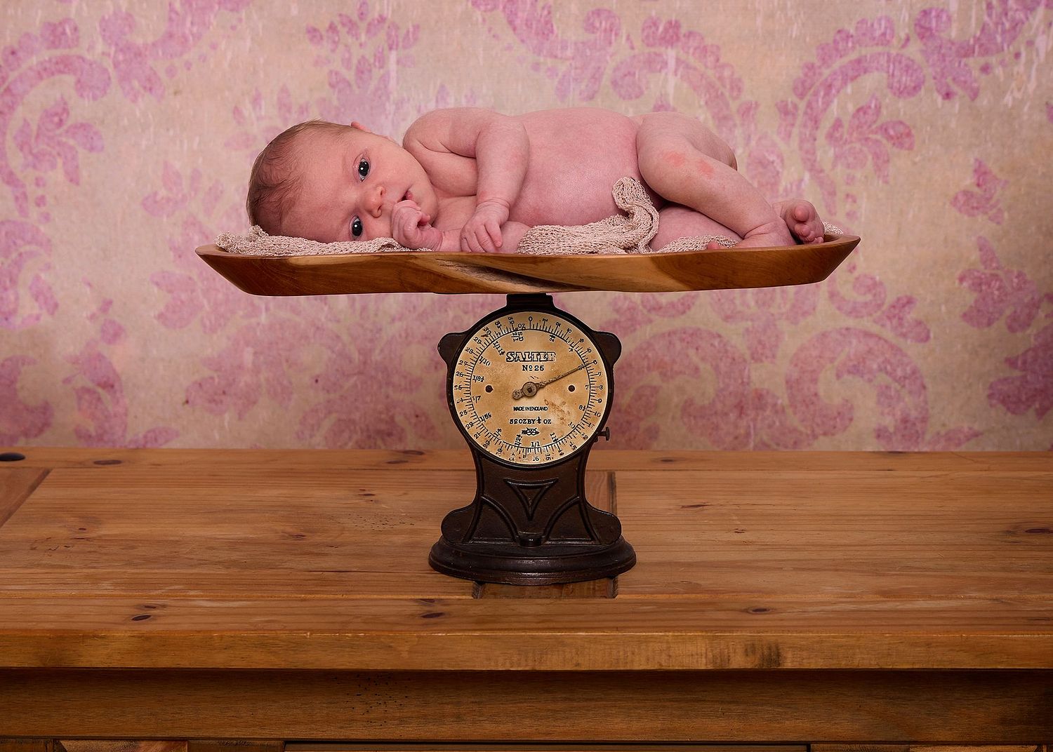 Nigel Coles Photography