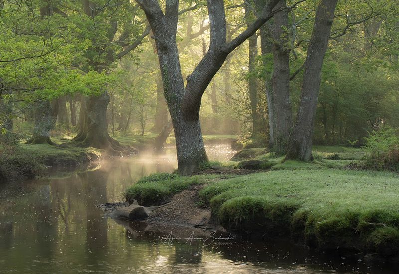 SOUTH OF ENGLAND