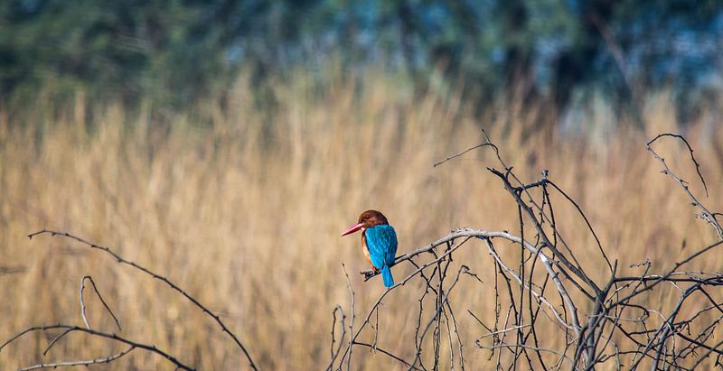 Don’t Start Snapping Right Away