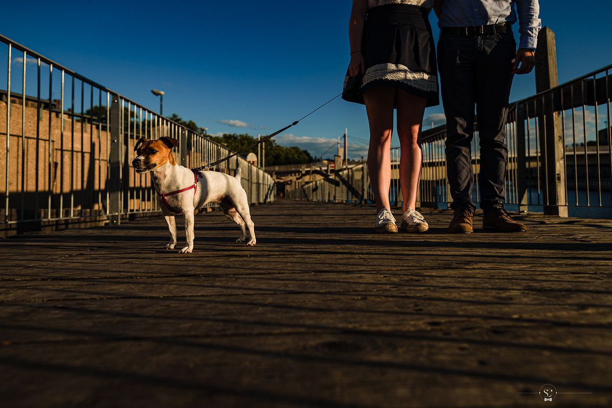 Tarif Photographe Mariage - Sebastien CLAVEL Photographe - Couple marchant avec un petit chien sur un pont en bois, ambiance d&eacute;tendue en fin d'apr&egrave;s-midi