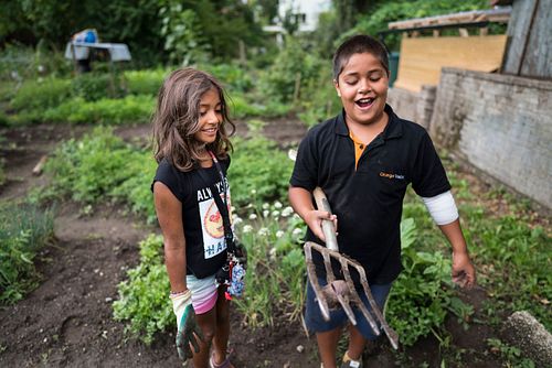 Im HEKS Garten Burgdorf