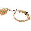 SwiftRelease™ Agility Lead + Collar - Citrus Splash - Pre-Made