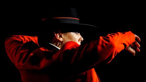 Danseuse de flamenco en Andalousie, costume traditionnel, geste expressif, photo 01