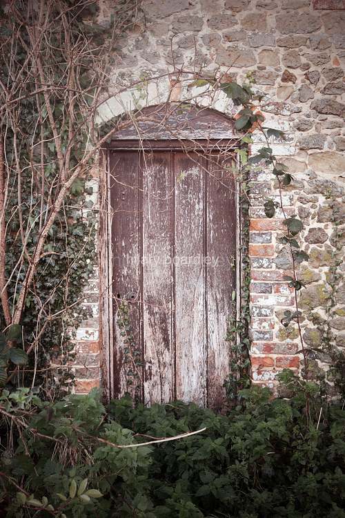 ‘the door in the wall' (2021)  ©hilaryboardley all rights reserved 2021