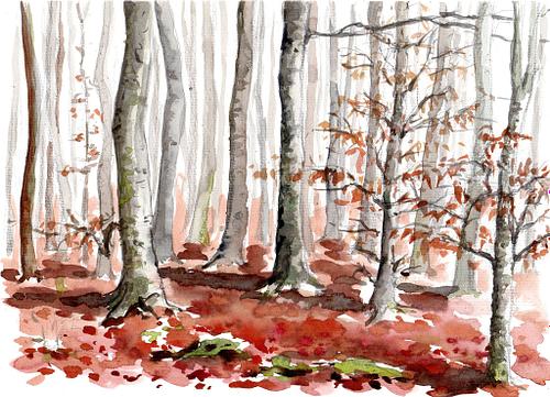 La h&ecirc;traie de Lyons-la-For&ecirc;t