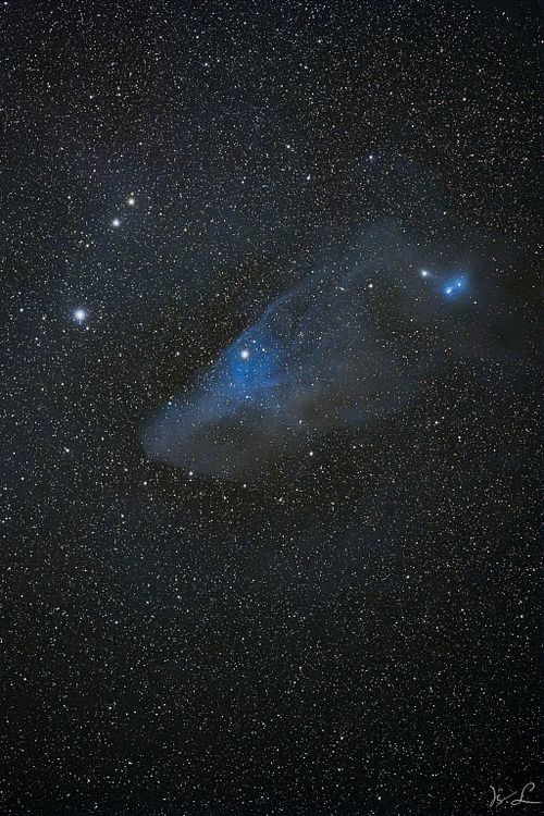 IC 4592 Blue Horsehead Nebula
