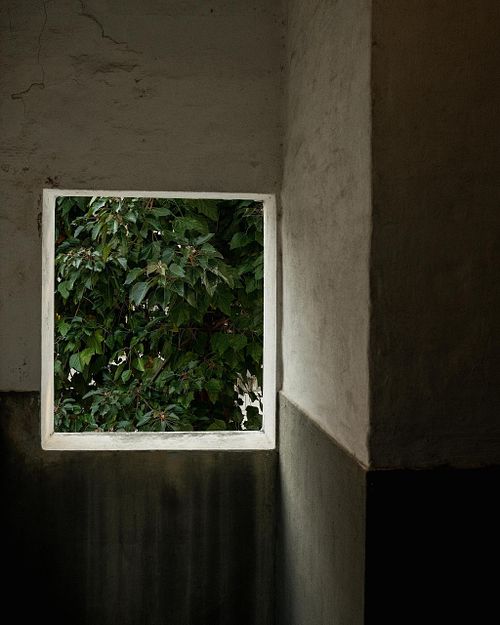 "Tai Hang Sai Estate"