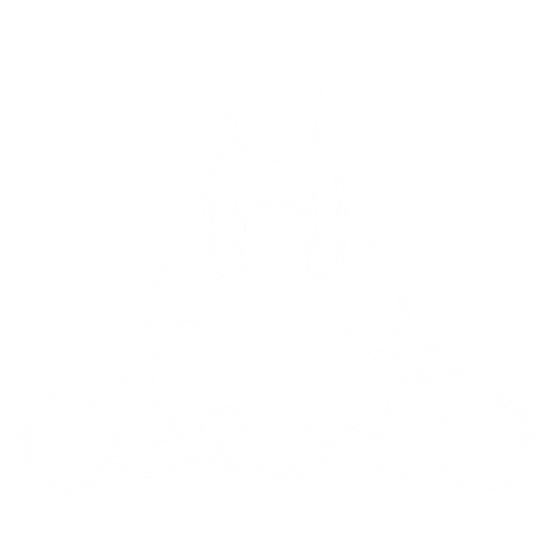 Initial Consultation