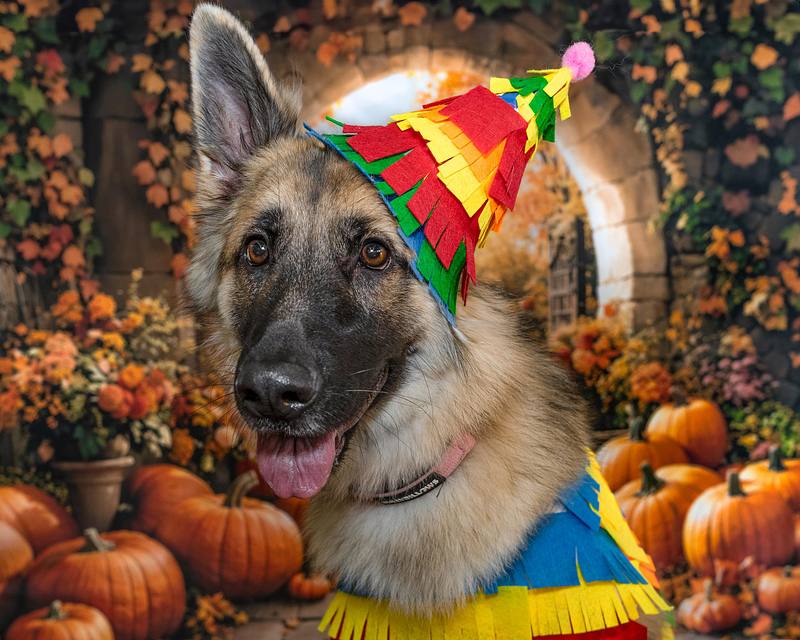 GSD Halloween Party