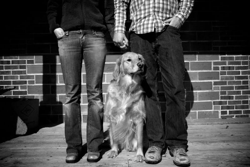 couple holding hands with dog