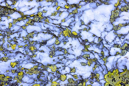 &ndash; SiO2 vs. Lichens