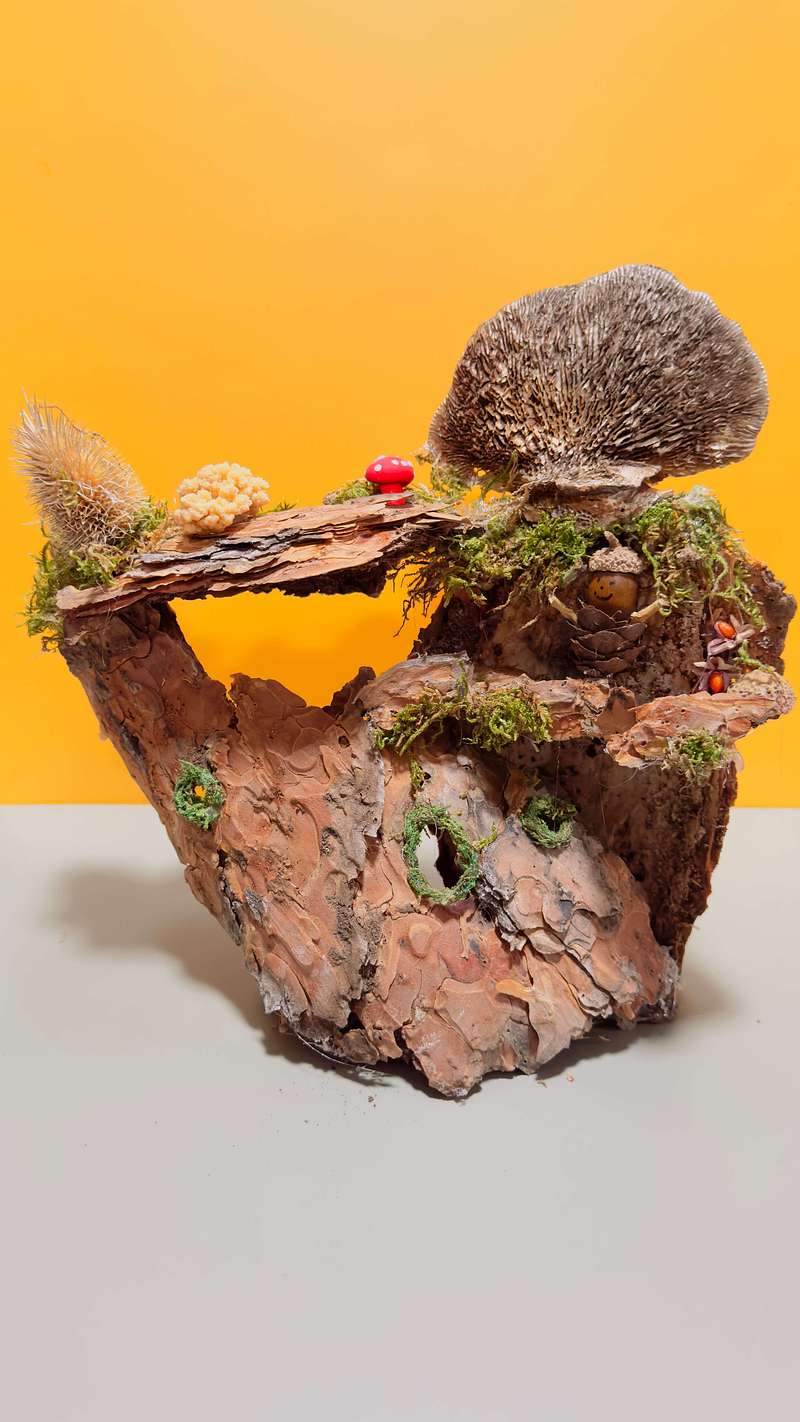 House for the Fairies!