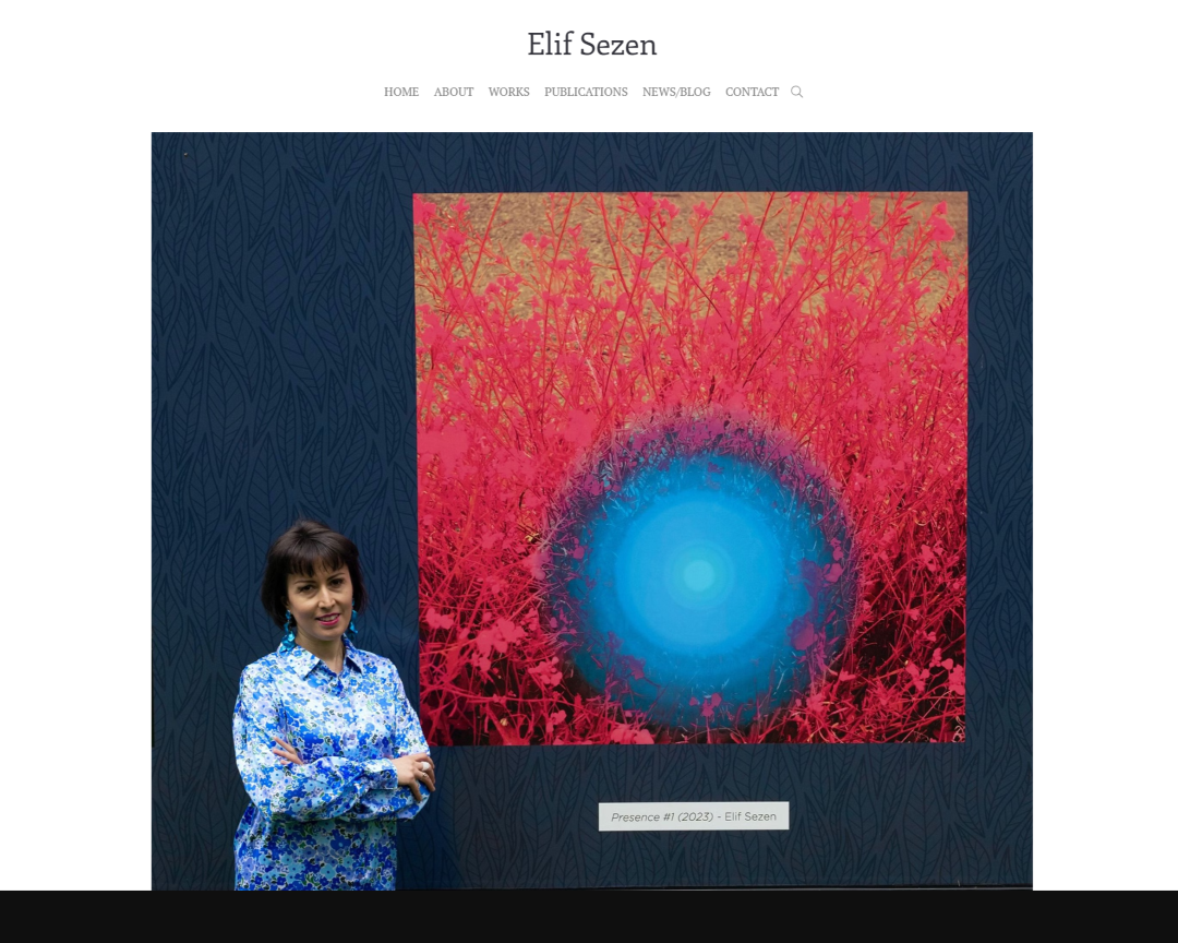 Portfolio d'artiste d'Elif Sezen