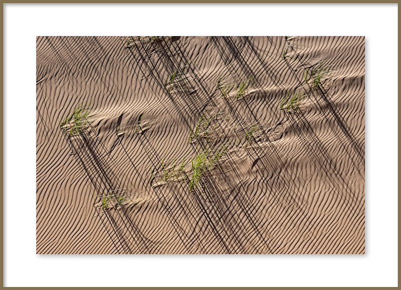 Dialoog van Schaduw en Groen