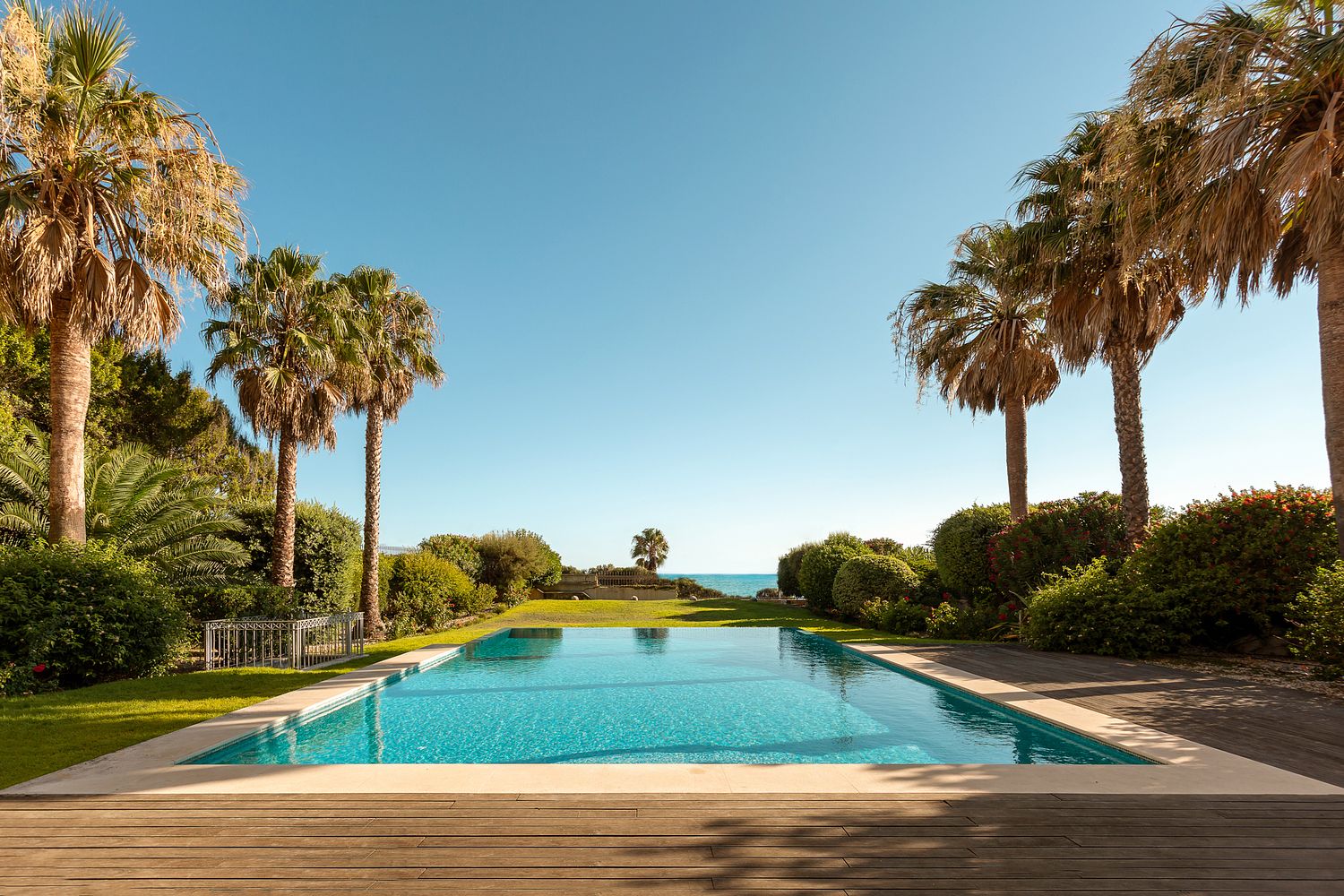 PEDRO BRÁS PHOTOGRAPHY