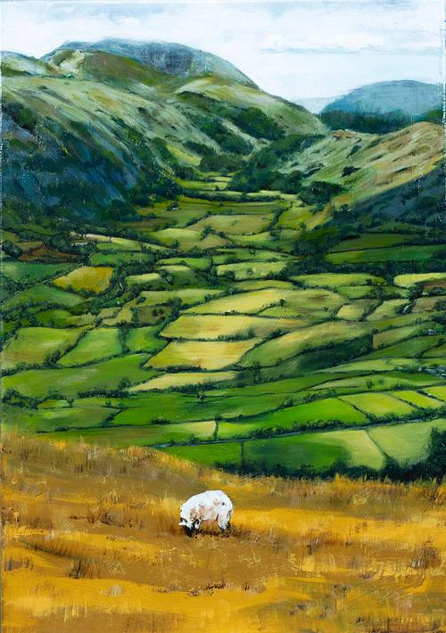 Dales, sheep, landscape