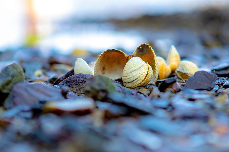 Tysdag 30. jan er studioet stengt