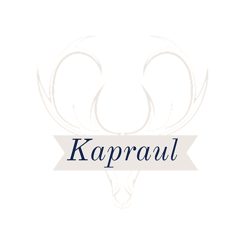 Transforming visions into actionable strategies for growth