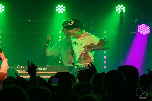 Palmekystfestivalen 2022